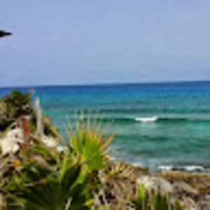 Meet your Posher, Theresa